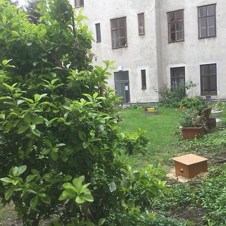Ajo Central Відень Екстер'єр фото