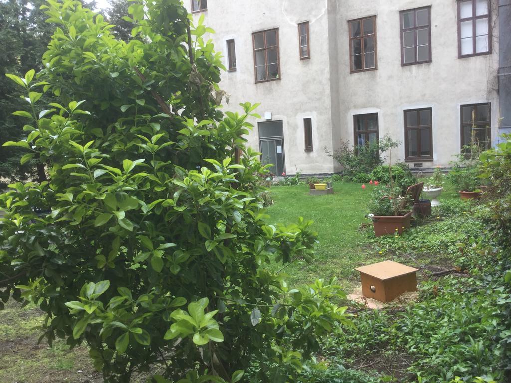 Ajo Central Відень Екстер'єр фото
